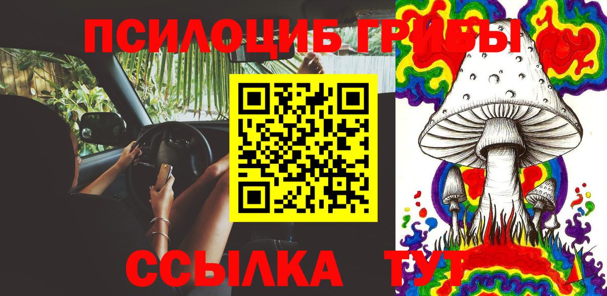 Моршанск  Галлюциногенные грибы Psilocybine cubensis  Галлюциногенные грибы прущие грибы  Вход с VPN 