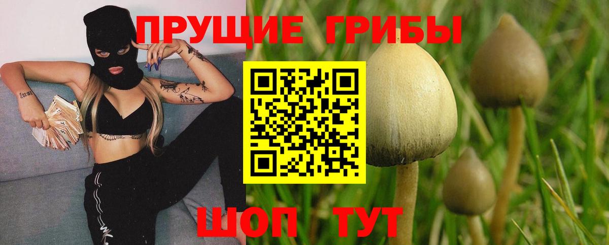 Псилоцибиновые грибы Magic Shrooms Моршанск